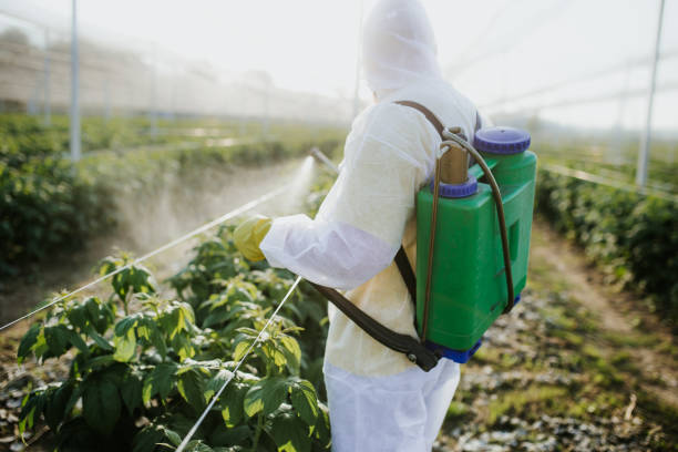 Best Commercial Pest Control Services  in Greendale, IN